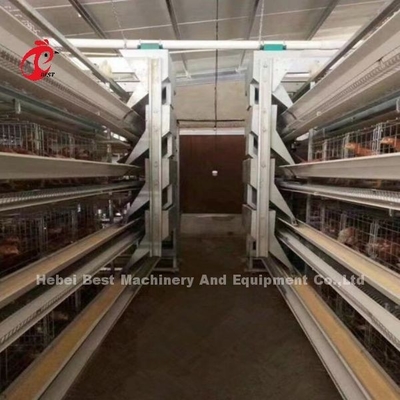 Automatic Layer Battery Cage System H Frame For 30000 Birds Poultry Farm Emily Wang