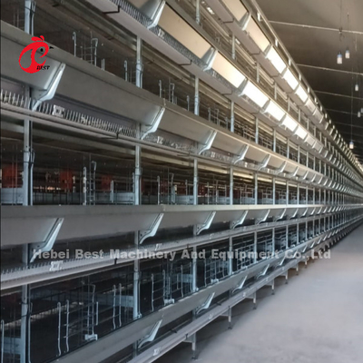 New Design H Type Automatic Chicken Cage System 96-200 Birds Capacity For Poultry Farming Emily Wang
