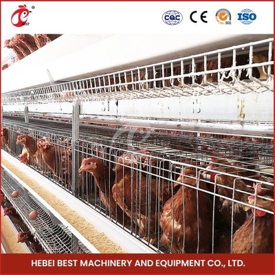 A Type Layer Cage System New 96-200 Capacity Battery Raising Equipment Mia