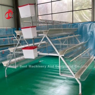 96-200 Birds Capacity White Layer Cage in Nigeria Hot Dip Galvanized Steel Star