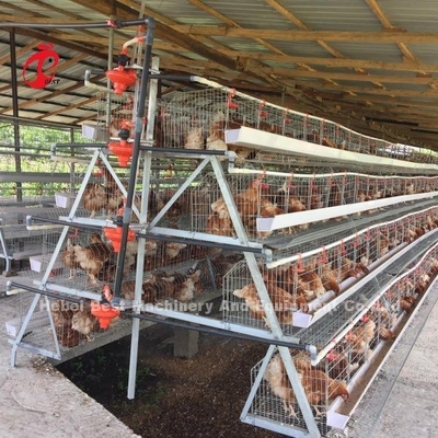 3 Tier 120 Birds And 4 Tier 160 Birds Layer Battery Cage System For Uganda Tanzania Poultry Farm Sandy