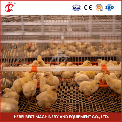 20-25 Years Lifespan Poultry Breeding Cage System Poultry Raising Cage System Star