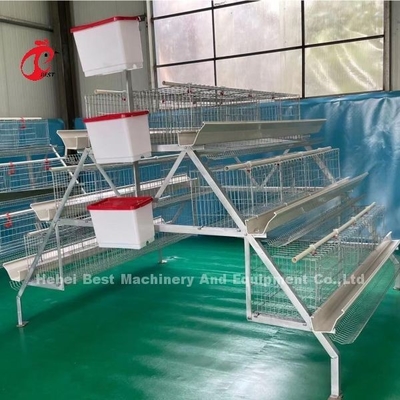 Advanced Poultry Farming Cage System With Automatic Nipple Drinkers Emily Wang