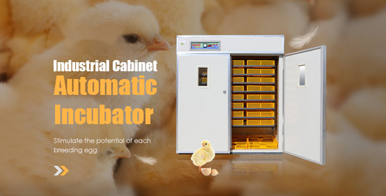 Industrial Automatic Egg Hatching Incubator Double-Layer Observation Window 220v