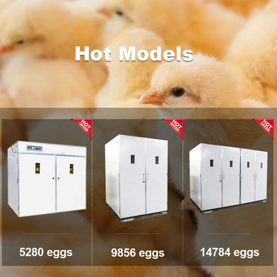 Industrial Automatic Egg Hatching Incubator Double-Layer Observation Window 220v