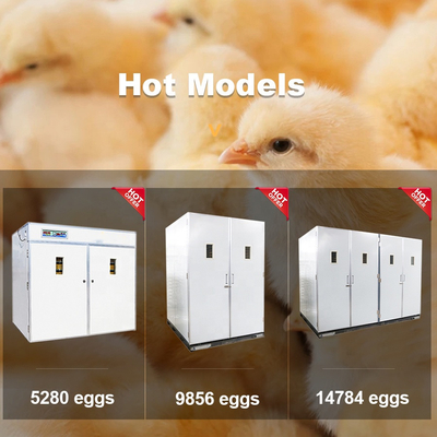 Industrial Automatic Egg Hatching Incubator Double-Layer Observation Window 220v