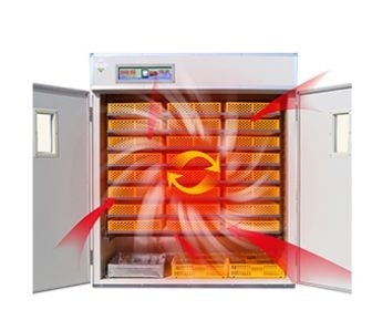 Industrial Automatic Egg Hatching Incubator Double-Layer Observation Window 220v