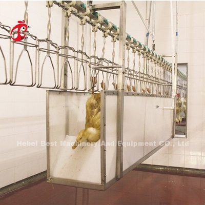 Large Capacity Broiler Processing System Automatic Broiler Slaughtering lines Star