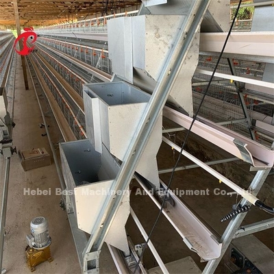 Africa Hot Selling Poultry Farming Cage System 32 doors For Egg Laying Birds Emily