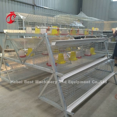 Premium Poultry Farm A Type Pullet Chicken Cage Battery Chicken Brooding Cage Iris