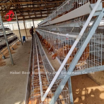 Automatic Poultry Layer Broiler Farming Cage System With Drinking And Feeding Equipment Adela