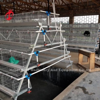 Poultry Farming Cage System Galvanized Egg Layer Cage 40 doors In Africa Adela