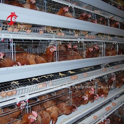 Angle Bar Frame Poultry Battery Cage System H Type Layer Chicken Cage Africa Doris