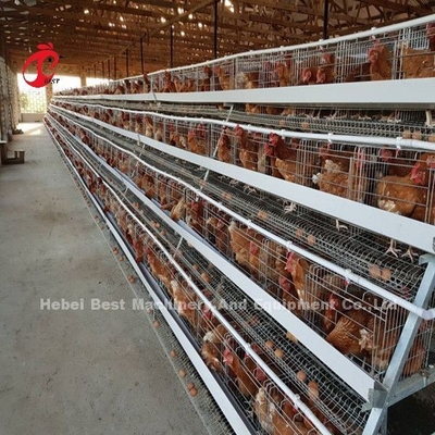 Angle Bar Frame Poultry Battery Cage System H Type Layer Chicken Cage Africa Doris