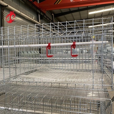 Poultry Farm Broiler Chicken Cage 3 Tiers , A Type Battery Cage For Broilers  Doris