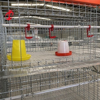 Poultry Farm Broiler Chicken Cage 3 Tiers , A Type Battery Cage For Broilers  Doris