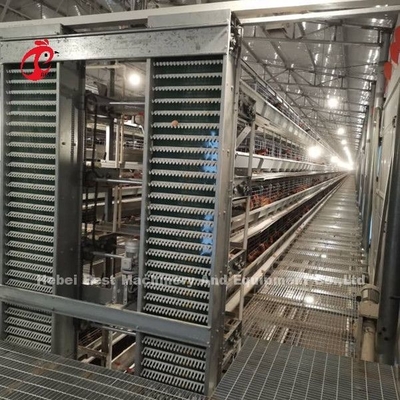 A H type Automatic Layer Poultry Equipment Breeder Chicken Cage System Sandy