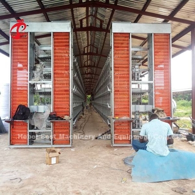 A H type Automatic Layer Poultry Equipment Breeder Chicken Cage System Sandy