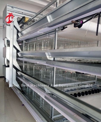 A H type Automatic Layer Poultry Equipment Breeder Chicken Cage System Sandy