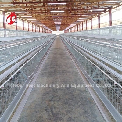 A Type Poultry Battery Cage 120 Birds Chicken Laying Eggs Cage Africa Doris