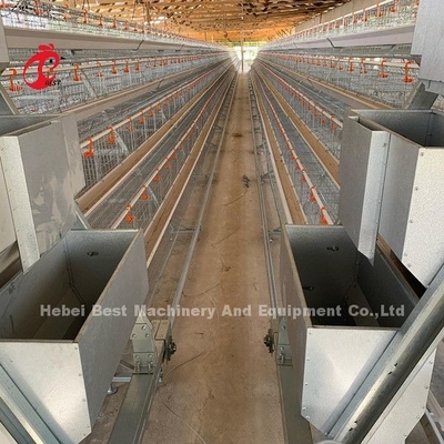 16 Weeks Egg Laying Hen A Or H Frame Automated Layer Cages 15000 Birds Emily