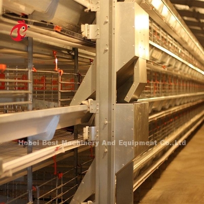 Electric Control Poultry Layer Cage System Layer Chicken Steel Cage Emily