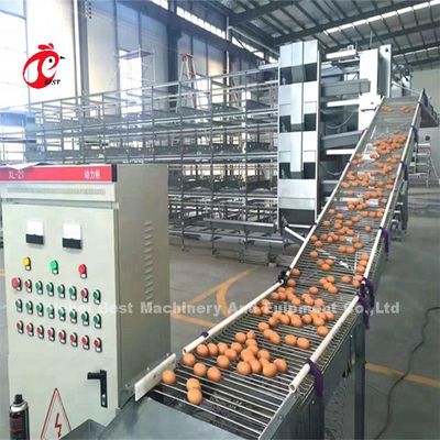 H Type Layer Battery Cage System 4 Rows Layer Poultry Farm Equipment CE Approval Sandy