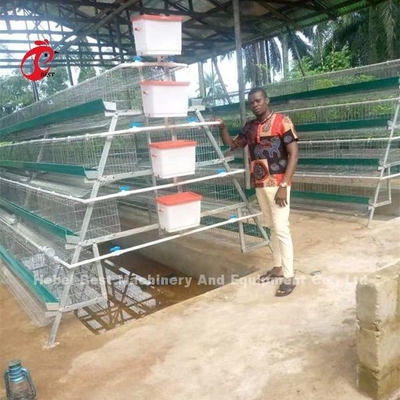 Poultry Farm Battery Cage Price In Nigeria 4 Tier Layer Cage Iris