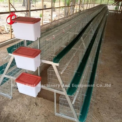 Nigeria Warehouse Premium And Deluxe Poultry Battery Cage System For Layer Chickens  Sandy