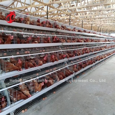 Toughness House Design Laying Chicken Battery Cage System With Cage Mesh Iris