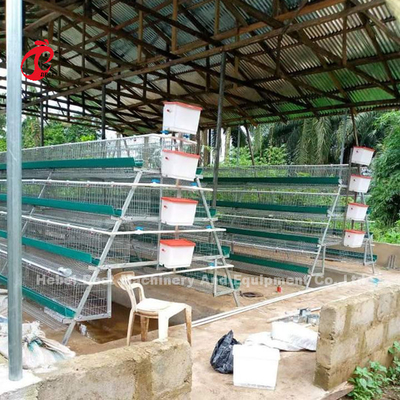 Automatic Battery Layer Cage , Poultry Farming Cage Nigeria Lagos Sandy