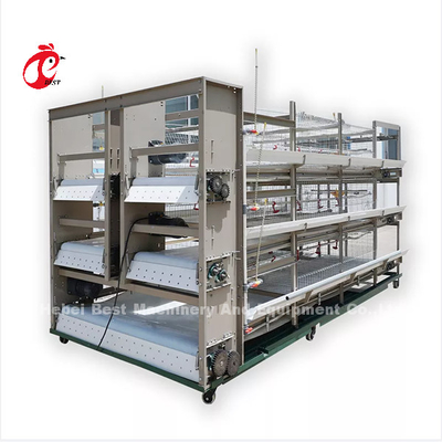 16 Weeks Egg Laying Hen A Or H Frame Automated Layer Cages 15000 Birds Emily