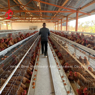3/4/5/6/7/8 Tiers Poultry Layer Cage System with Automatic Feeder Adela