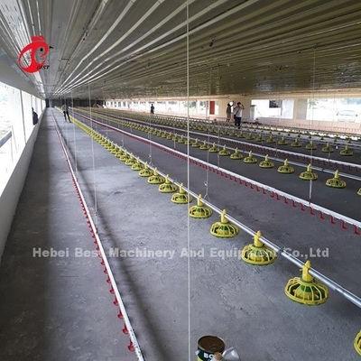 Automatic Broiler Chicken Cage with Floor Feeder Pan Drinking System Emily