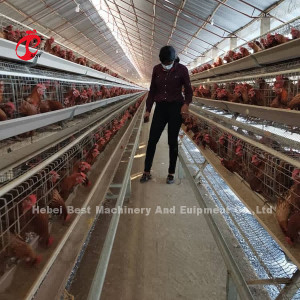 Wholesale Q235 Steel Layer Battery Cage Price In Nigeria Long Lifespan Mia