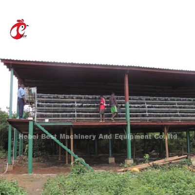 Automatic Poultry Battery Cage System Coated Wire With Long Lifespan  Nigeria Sandy