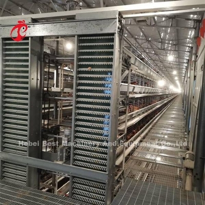 Automatic Poultry Battery Cage System Coated Wire With Long Lifespan  Nigeria Sandy