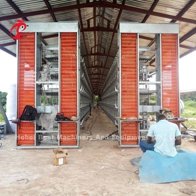 A H Type Adult Commercial Chicken Battery Cages For Laying Hens Star