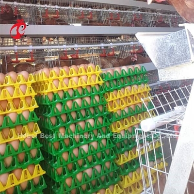 Layer Cage Automatic Poultry Farming Cage System Popular High Quality Egg Layer Cages  Rose