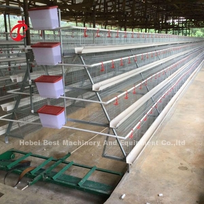 Discount A Type Poultry Battery Cage For Layer Sale 160 birds In Zambia Adela