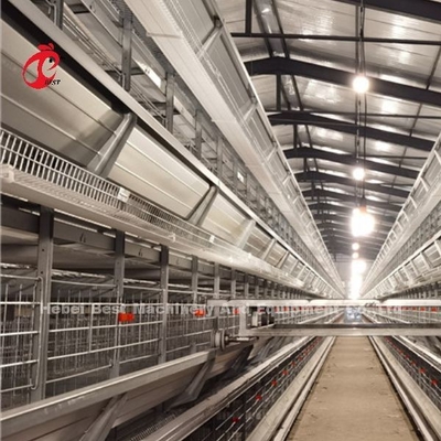 Auto Feeding Poultry Farming Cage System With Metal Feeder Troughs H Type Steel Wire Cage Frame Rose