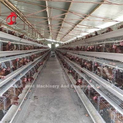 Cheap Automated Battery Cage System Hot Galvanized 25 Lifespan 450cm2 In Nigeria Emily