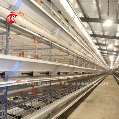 Battery Type Layer Poultry Farm Equipment With Automatic Feeding Machine 9 Tiers Mia