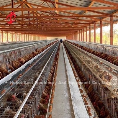 A Frame Animal Poultry Farming Battery Cage System Stable Structure 2022 Hot Selling Emily