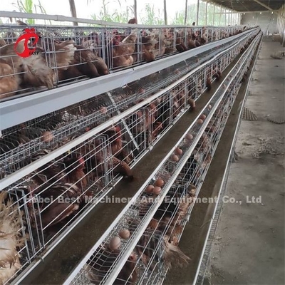 Efficiency Layer Battery Cage Price In Nigeria Emily