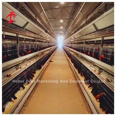 Full Automatic Battery Cage Price In Nigeria H type layer  Mia