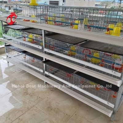 Save Space Poultry Broiler Chicken Cage Low Carbon Steel Wire In Africa  Adela