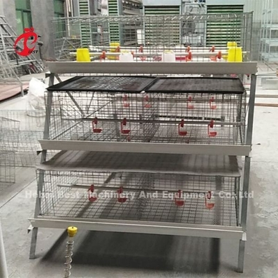 Save Space Poultry Broiler Chicken Cage Low Carbon Steel Wire In Africa  Adela