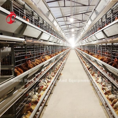 2.2m Poultry Farming Cage System , 9 Tiers Battery Cage For Layers Rose