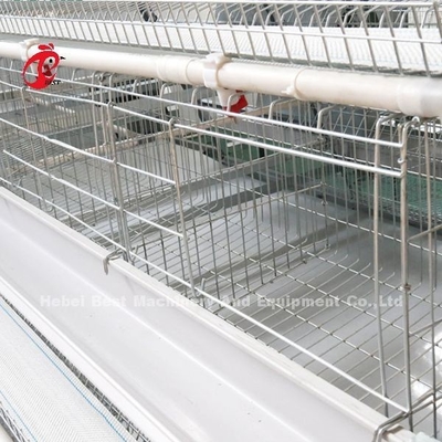 2.2m Poultry Farming Cage System , 9 Tiers Battery Cage For Layers Rose